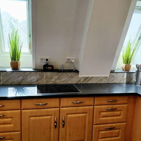 Wanderfalke Ii By Interhome Lejlighed Bad Harzburg